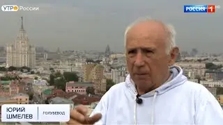 Голуби.  О профилактике.  Ю.П. Шмелёв и другие...