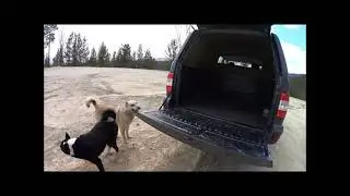 Межсезонье