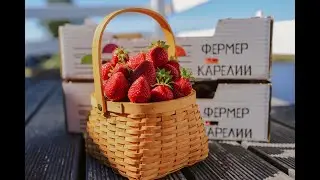 Диалог о работе фермерского хозяйства на севере России с Ксенией Сосункевич