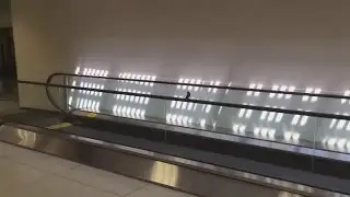 Little guy having way too much fun on a walkway