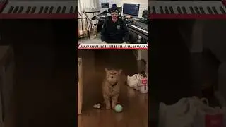 What do you hear? 😋🐈