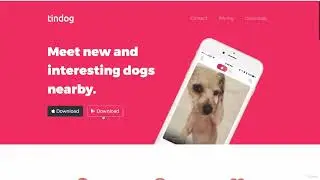 Part-3 | 05 - What Well Make TinDog | Complete Course for Web Development | 