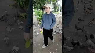 Утки Новокузнецк