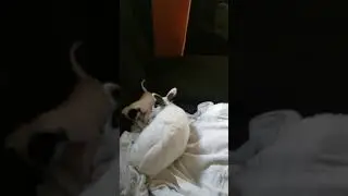 SO CUTE!