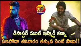 డిసాస్టర్ డబుల్ ఇస్మార్ట్ కన్నా సరిపోదా శనివారం తక్కువ ఏంటి సామి!|Saripodhaa Sanivaaram Collection