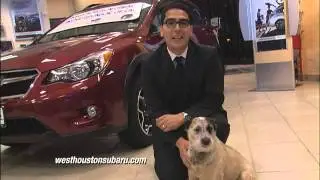 TV Commercial - September 2013