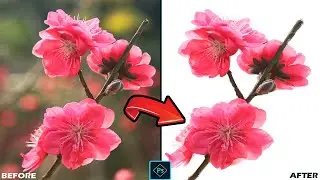 Focus Area Selection And Masking With Photoshop