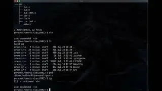 Como encontrar arquivos no VIM (sem plugins)