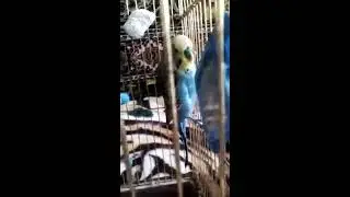 Большая трагедия!