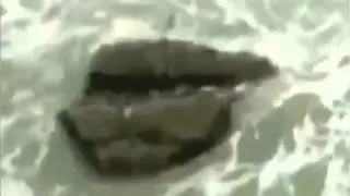 конец света,новая расса ужас что творится в мире