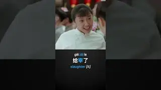 V CZH313 4 在 vs宰