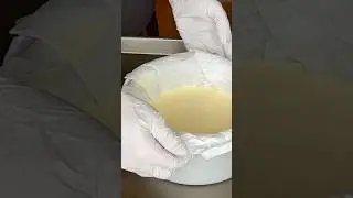 Why place the cheesecake pan on a baking sheet? / Basque Cheesecake Q&A
