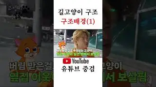 죽어가는 고양이를 구조(1편) #구출 #구조냥 #shorts