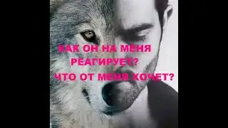 ЧТО ОН ОТ МЕНЯ ХОЧЕТ? КАК ОН НА МЕНЯ РЕАГИРУЕТ?
