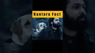 Kantara Movie Fact |
