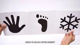 Clapjoy Black and White Flash Cards for Infant Babies for Age 0-6 Months