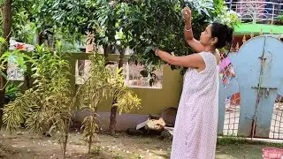 🌿একটা খারাপ জিনিস সব ভালো জিনিসকে নষ্ট করে দেওয়ার জন্য যথেস্ট//Indian House Wife Daily Vlog