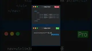 Noob vs Pro Programmer 