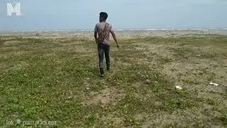 Kecantikan pantai idi cut, spot wisata alam aceh Timur