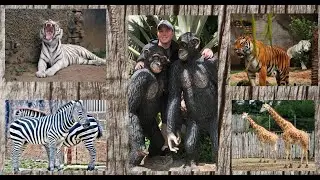 Me at the Zoo (Guatemala City)