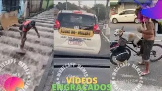 OS MELHORES MEMES E VIDEOS ENGRAÇADOS DA INTERNET #35 - TENTE NÃO RIR