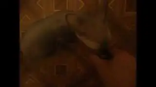 Отдай мою колбасу!
