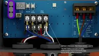 PAL PCR 1Z AU Setup