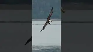 some days hit diffrent