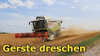 Wintergerste dreschen 2020 | Claas Lexion 550 | Fendt 516, 714, 412 Vario | Fliegel Anhänger