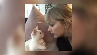 Taylor Swift - don't blame me (speed up+lyrics)