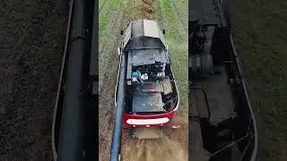 12 августа 2024 г.
