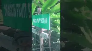 Welcome to our farm. We link you to market
