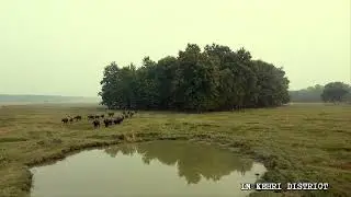 Surma Village | Dudhwa National Park