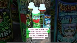 Using Liquid Fertilizers in the Garden #shorts #organicfertilizer #gardeningtips