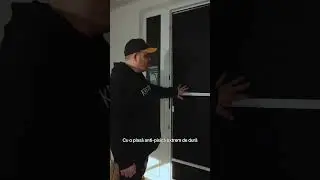 Plasa pe balamale pentru uși de intrare. #shorts