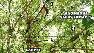4 PARA KAI CARPET..ISANG LETERAL NA DOUBLE.!!