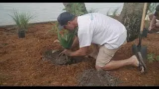 Indialantic Planting Day