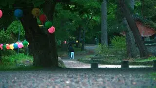 [Soothing Rain Sounds] 깊은 숲속의 사찰 마당에 하염없이 내리는 봄비