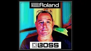 Roland (synth) Boss (guitar) - 1990'-2k Retro-scizzle