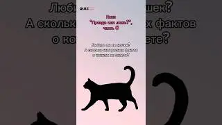 Правда или ложь? Кошки #квизонлайн #викторина #quiz #угадай #кошки #игра
