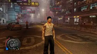 Sleeping Dogs Car Valet