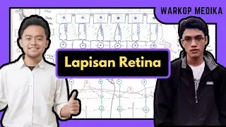 Lapisan Retina Mata | Anatomi | Oftalmologi