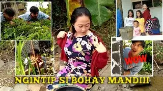 SI BOHAY MANDI ANUNYA KELIHATAN???!!!