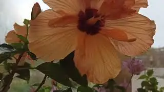 Взгляд так и тянется к окну!