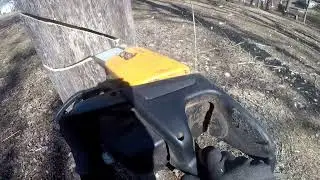 Felling a Tree in the backyard for firewood. Poulan pro chainsaw with 20