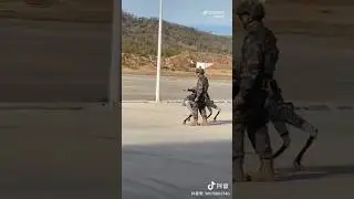 çin ordusu Silahlı robot köpekler... #china #shorts