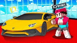 Ich KLAUE alle LAMBOS in MINECRAFT!