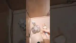 Рома Рома гей
