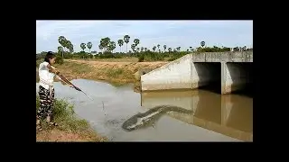 Amazing Beautiful Girl Fishing By Using Crossbow In Cambodia -Khmer Fishing At Siem Reap Cambodia