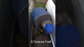 Пенсия